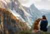 Hund in den Alpen Panorama